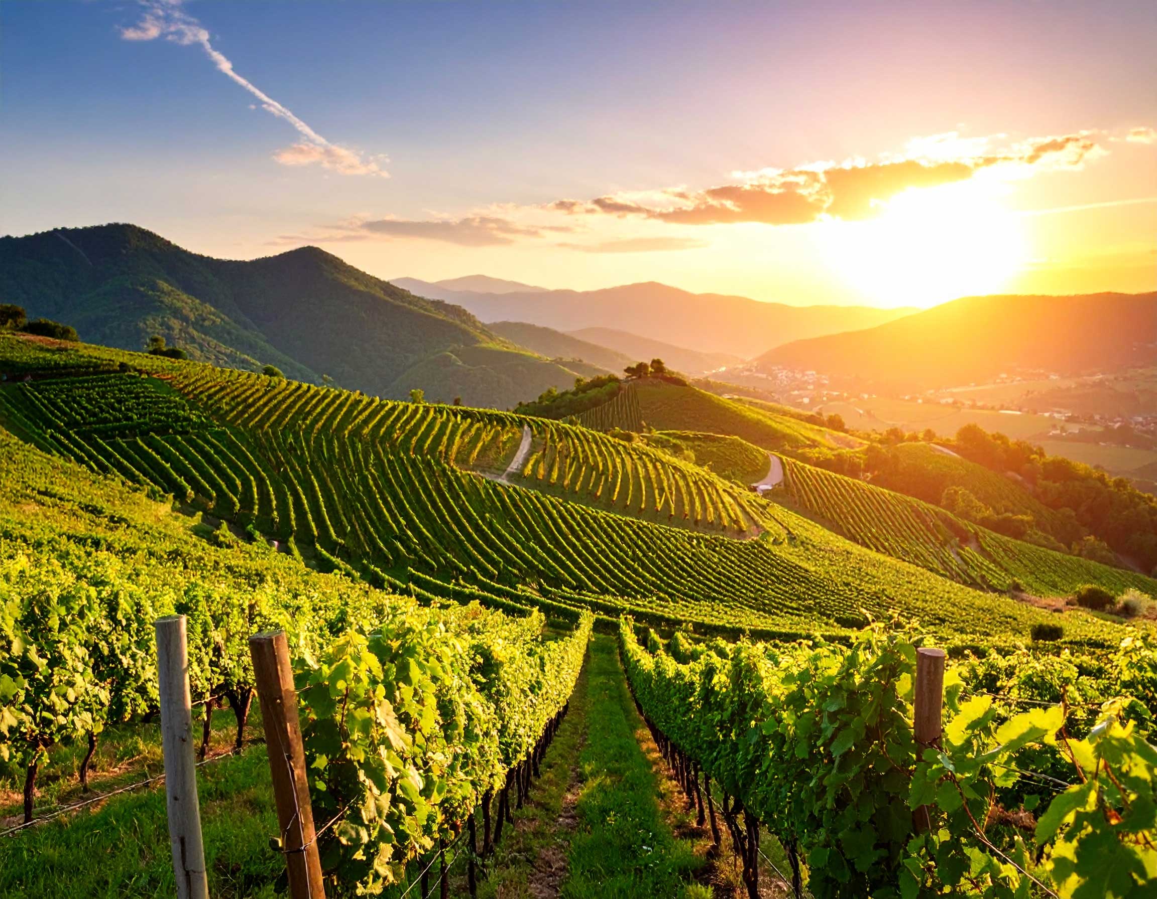 Panorama Passonino Montevecchia