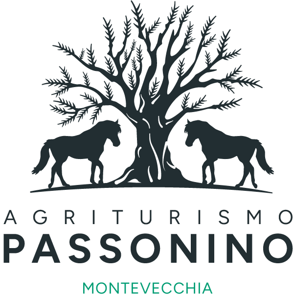 Agriturismo Passonino